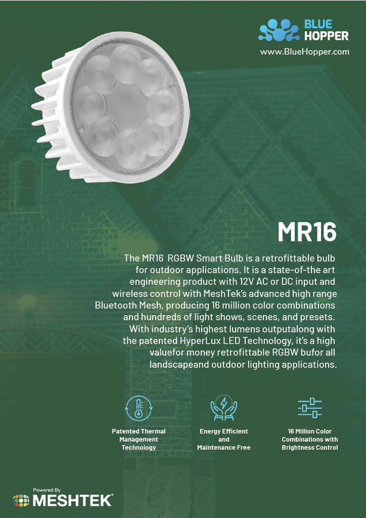 BlueHopper 50x50 MR16 RGBW Outdoor Lamp