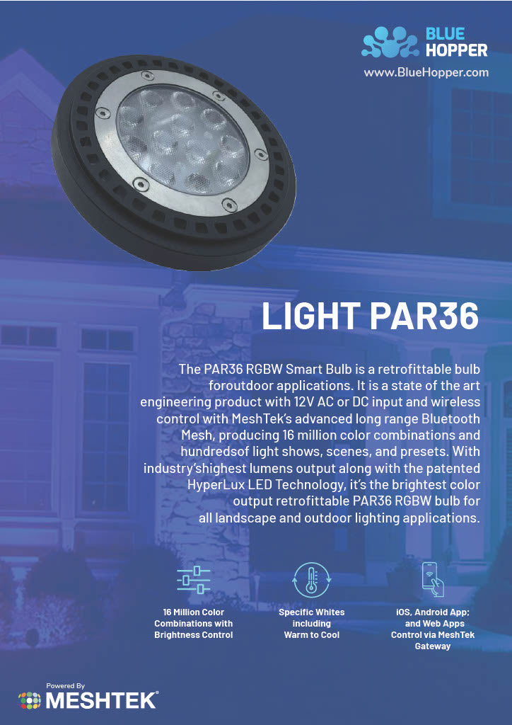 BlueHopper PAR36 RGBW Lamp