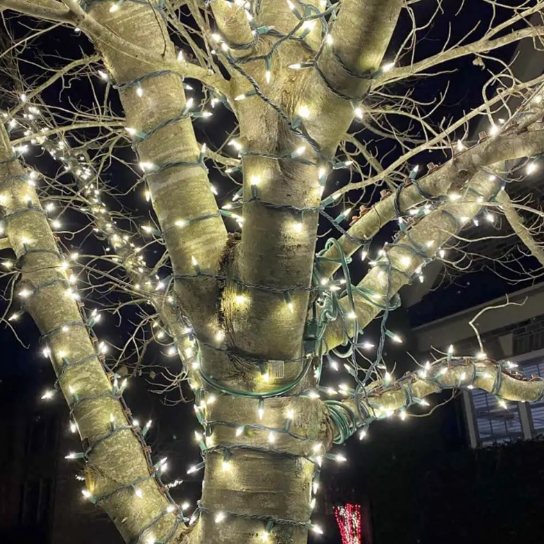 TreE-Z® Wrap Brown - Bag of 25