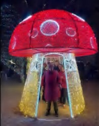 Giant Pre-Lit LED Walk Through Mushroom