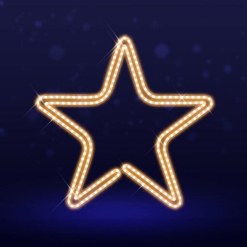 Pre-Lit LED Star 2D Wire Frame Decor