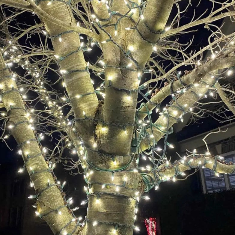 TreE-Z® Wrap - Brown