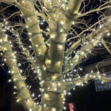 TREE-Z® Wrap Brown - Bag of 25