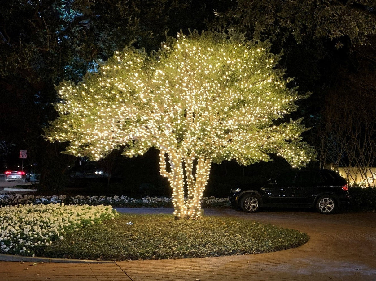 50L 5MM LED Twinkle Mini Lights 4" Spacing - Male & Female Adapter