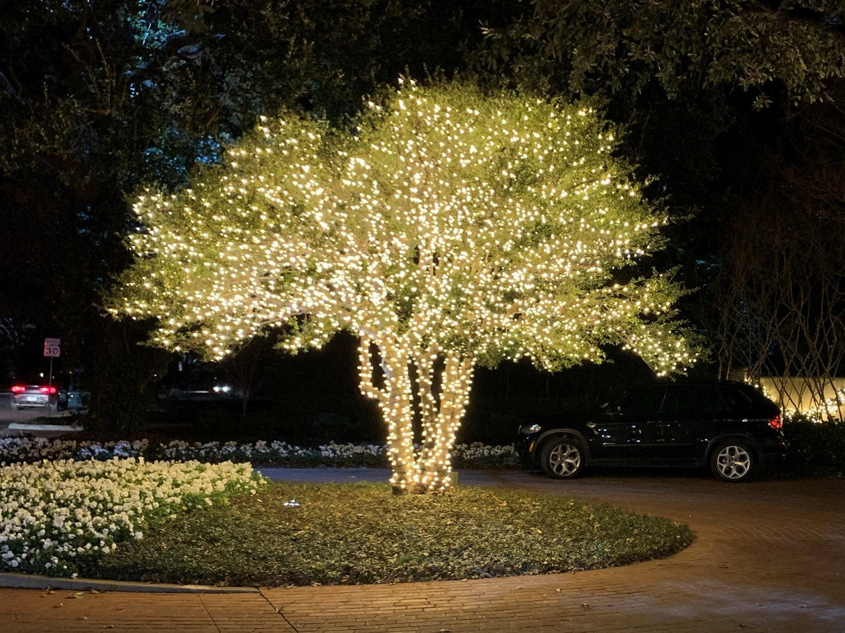 4" Spacing 5mm Coaxial LED Mini Lights - Waterproof Quick Connect